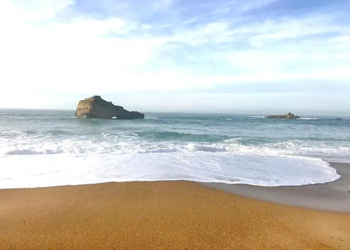 Lejlighed Cosy 4 Pers A 200 M Et Commerce La Cabane64 Biarritz