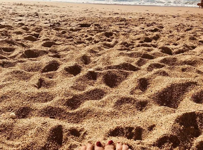 Lejlighed Cosy 4 Pers A 200 M Et Commerce La Cabane64