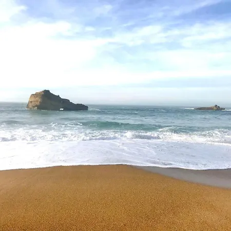 Апартаменты Cosy 4 Pers A 200 M Et Commerce La Cabane64 Биарриц