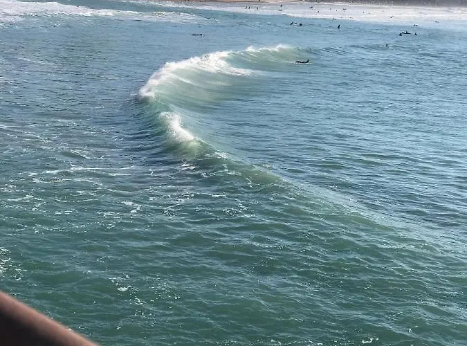 Cosy 4 Pers A 200 M Et Commerce La Cabane64 Lejlighed