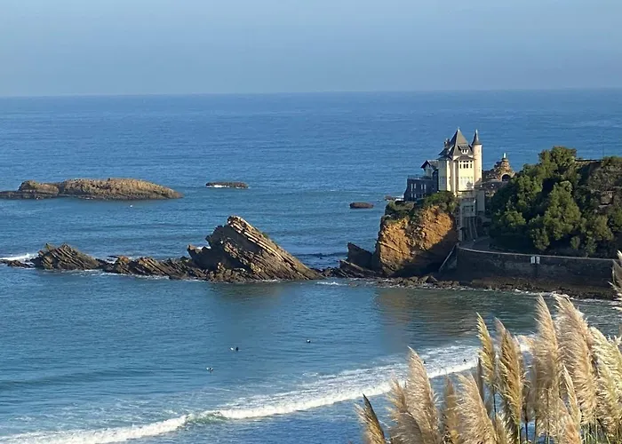 Cosy 4 Pers A 200 M Et Commerce La Cabane64